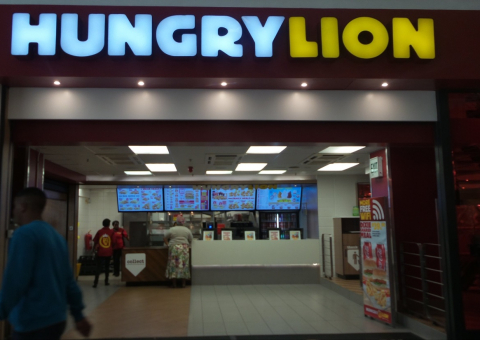 Hungry Lion