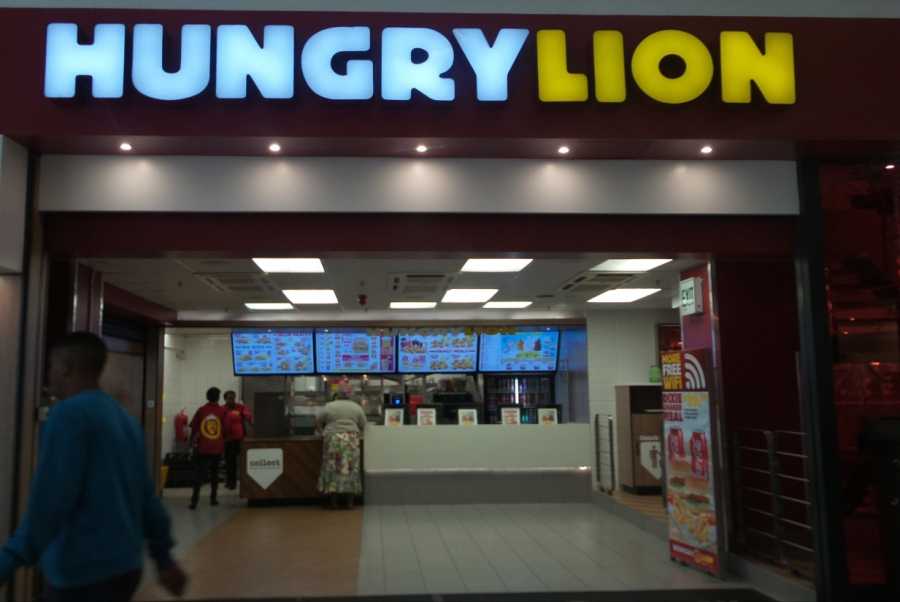 Hungry Lion