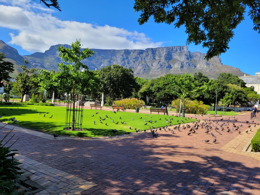The Company's Garden